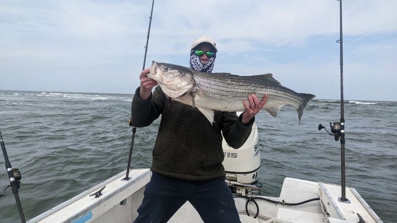  New Jersey Fishing Charters