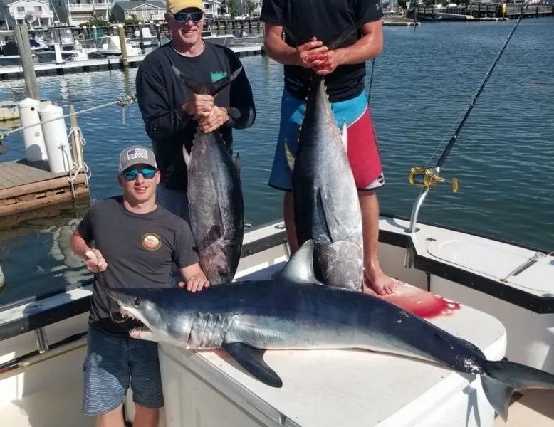 Shark Fishing Charters New Jersey